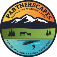 Partnerscapes Logo