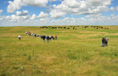 Group of people taking tour of conservation land