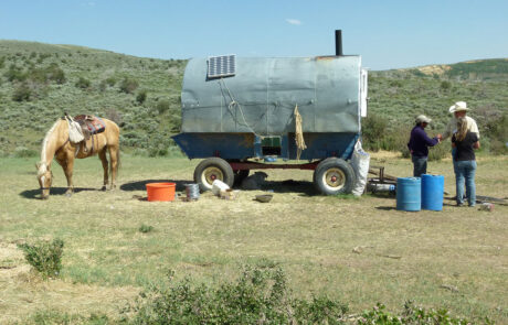 Horse, covered wagon with solar panel, and people meeting