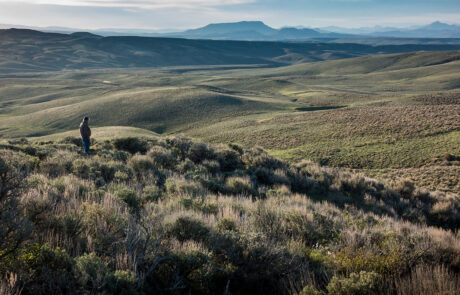 Landscape image or rolling hills