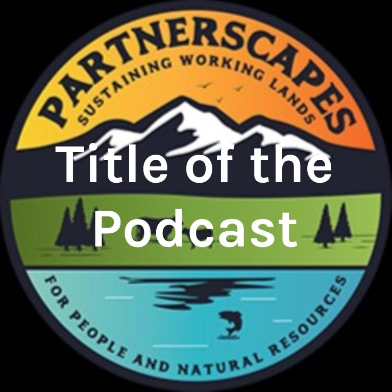 Partnerscapes