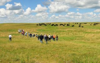 Group of People in a Prairie