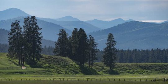 Collaborative Conservation: Blackfoot Challenge