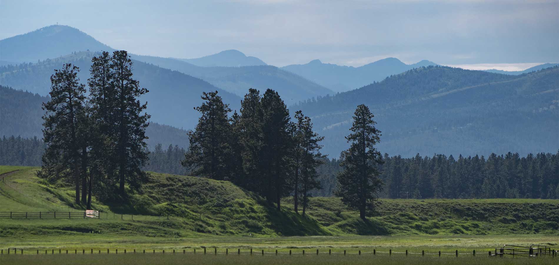 Collaborative Conservation: Blackfoot Challenge