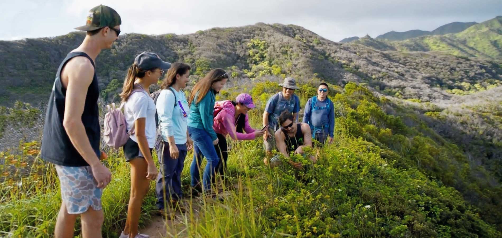 Protect & Preserve Hawaiʻi