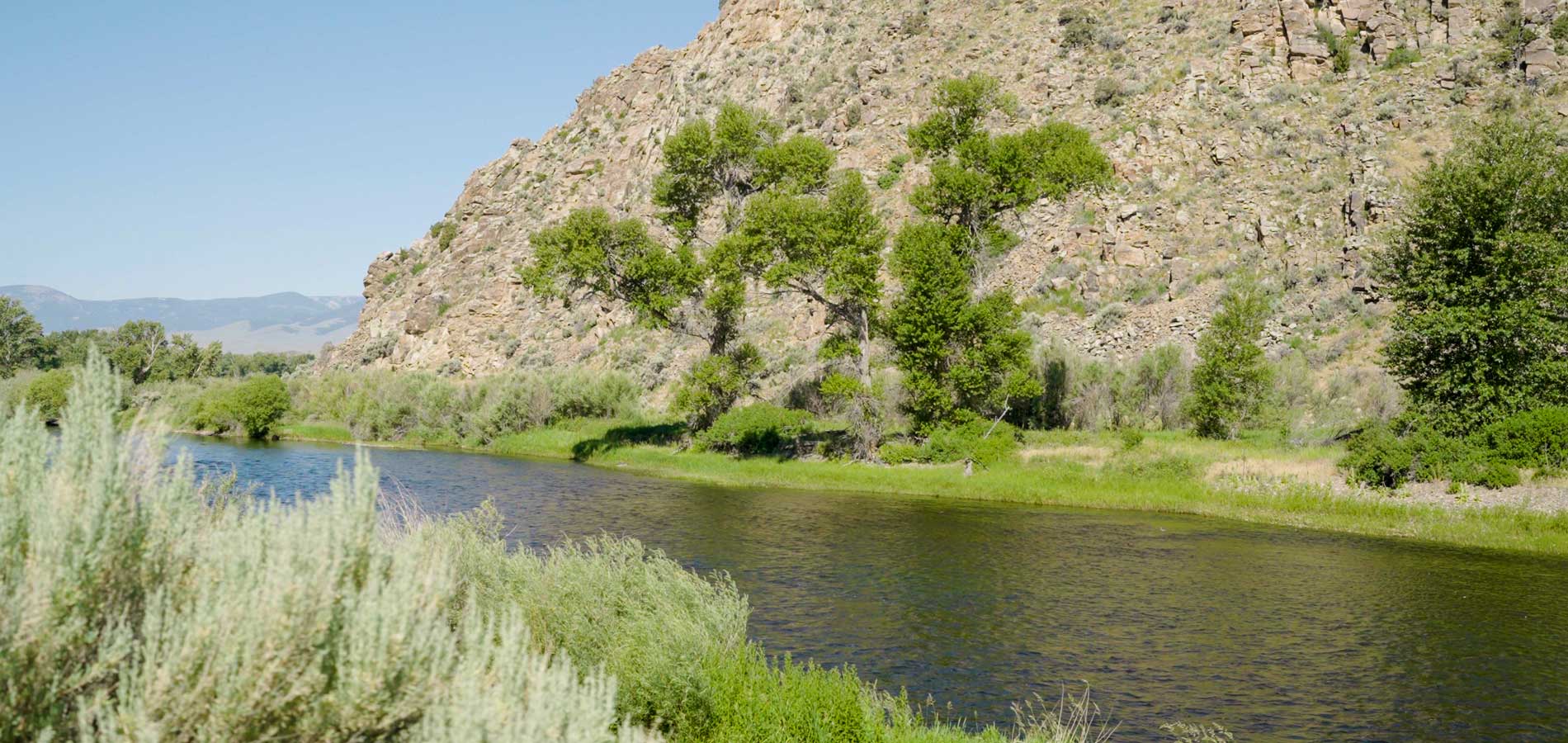 Big Hole Watershed Committee